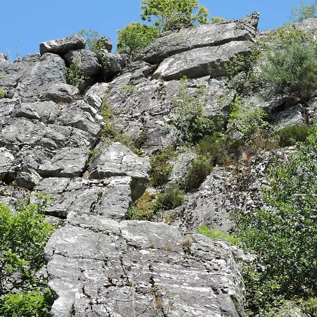 Tente de luxe Yourte Mongole