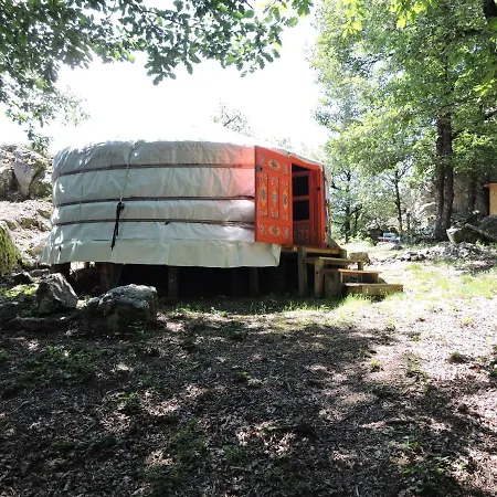 Luxury tent Yourte Mongole